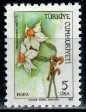 KWIATY TURCJA MI.2702**