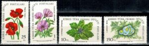 KWIATY CYPR TURECKI MI.101-104**