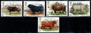 KROWY ANGLIA MI.979-983**