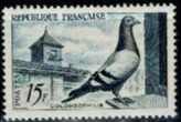 GOŁĘBIE FRANCJA MI.1119**