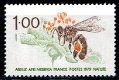PSZCZOŁA FRANCJA MI.2145**