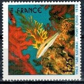 RYBY FRANCJA MI.2094**