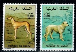 PSY MAROKO MI.1061-1062**
