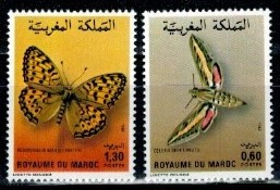 MOTYLE MAROKO MI.996-997**