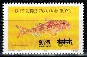 RYBY CYPR TURECKI MI.523**