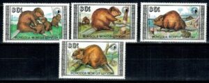 BOBRY MONGOLIA MI.2021-2024**