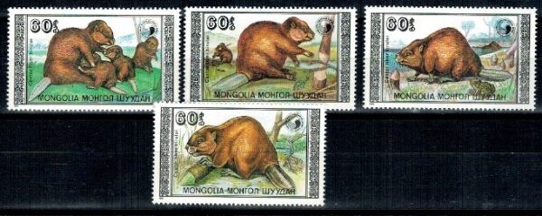 BOBRY MONGOLIA MI.2021-2024**