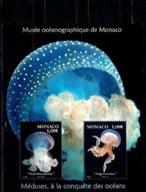 MEDUZY MONAKO MI.BL.111**