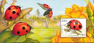 BIEDRONKI IRLANDIA MI.BL.47**