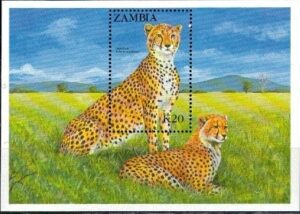 DZIKIE KOTY ZAMBIA MI.BL.15**