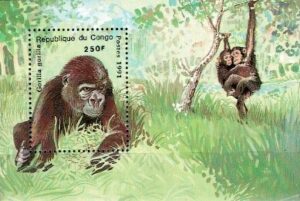 GORYL KONGO MI.BL.85**