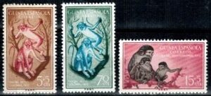 MAŁPY GWINE HISZPAŃSKA MI.320-322**