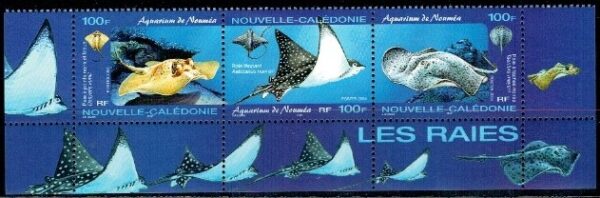 FAUNA MORSKA NOWA KALEDONIA MI.1324-1326**