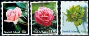 RÓŻE NORFLOK MI.696-698**