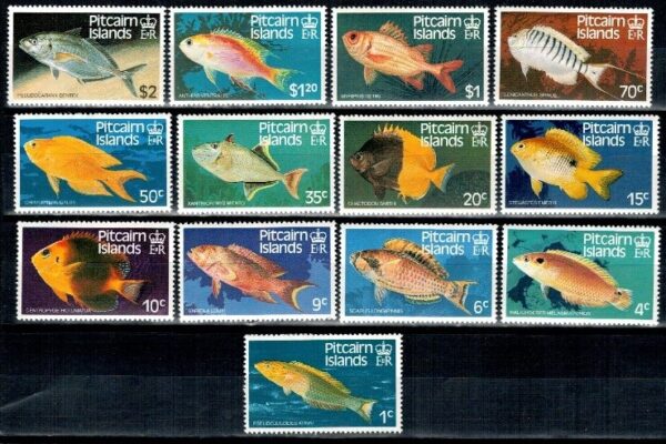 RYBY PITCAIRN MI.238-250**