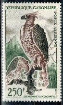 CZUBAK BRUNATNY GABON MI.207**