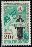 PRAWA CZŁOWIEKA GABON MI.317**