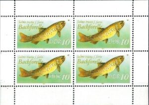 RYBY DDR MI.ARK.3095**