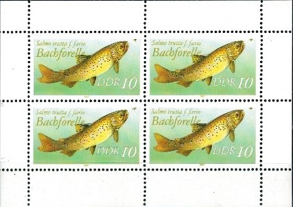 RYBY DDR MI.ARK.3095**