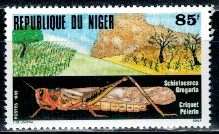 SZARAŃCZA NIGER MI.1074**