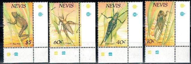 OWADY NEVIS MI.514-517**