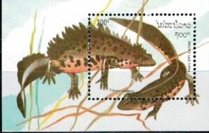 PŁAZY LAOS MI.BL.150**