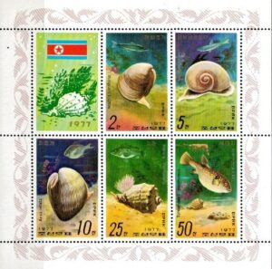 MUSZLE KOREA PÓŁNOCNA MI.ARK.1668-1672**