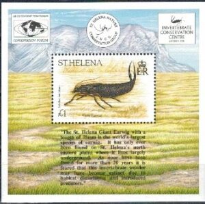 OWADY WYSPA ŚW.HELENY MI.BL.14**