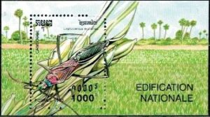 OWADY KAMBODŻA MI.BL.202**