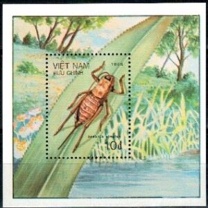 OWADY WIETNAM MI.BL.53**