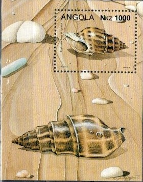 MUSZLE ANGOLA MI.BL.15**