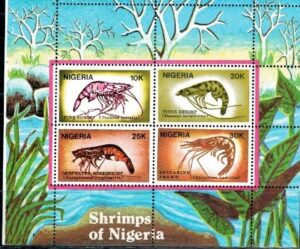 KREWETKI NIGERIA MI.BL.8**