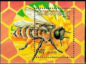 PSZCZOŁA KONGO MI.BL.125**