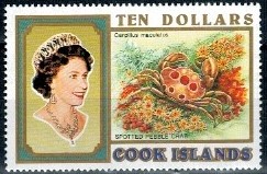 KRAB WYSPY COOKA MI.1401**