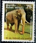 SŁOŃ SRI LANKA MI.896**