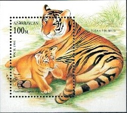 TYGRYSY AZERBEJDŻAN MI.BL.10**