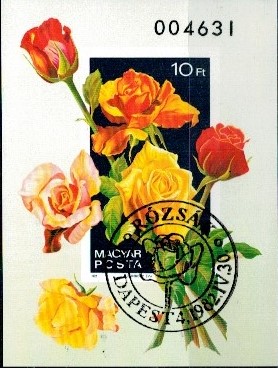 RÓŻE WĘGRY MI.BL.156B KASOWANE