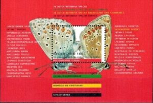 MOTYLE HOLANDIA MI.BL.38**