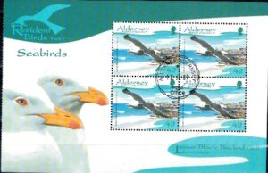 PTAKI ALDERNEY MI.60 KASOWANE H-BLATT