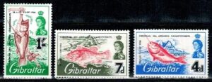 WĘDKARSTWO GIBRALTAR MI.179-181**