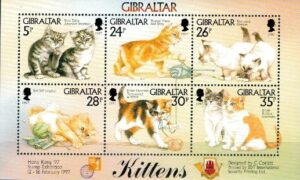 KOTY GIBRALTAR MI.BL.27**