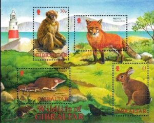 ZWIERZĘTA GIBRALTAR MI.BL.51**