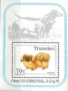 WYSTAWA PSÓW RASOWYCH TRANSKEI MI.BL.10**