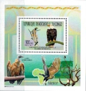 PTAKI KONGO MI.BL.20**