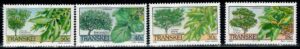 DRZEWA TRANSKEI MI.242-245**