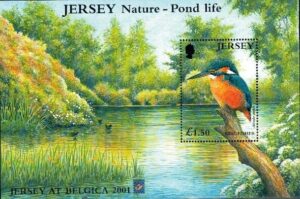 PTAKI JERSEY MI.BL.29I**