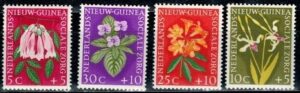 KWIATY NOWA GWINEA HOLENDERSKA MI.57-60**