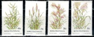 FLORA BOPHUTHATSWANA MI.116-119**