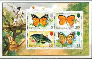 MOTYLE ANTIGUA MI.BL.22**