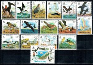 PTAKI ASCENSION MI.196-211**